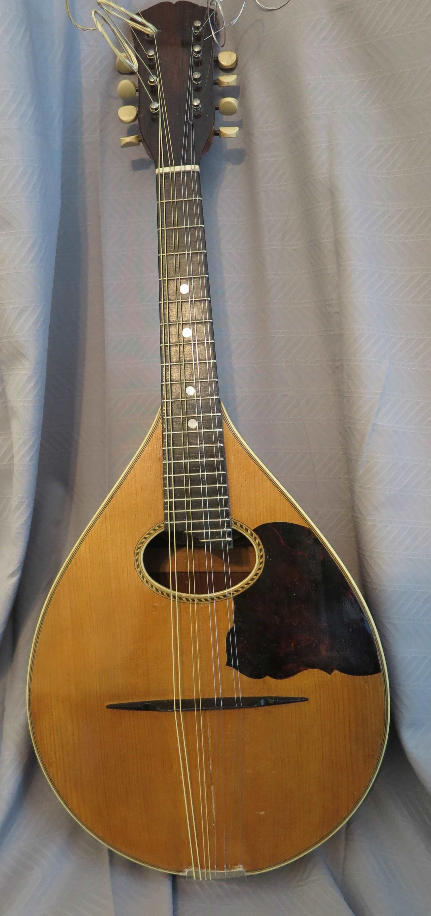 Vega Mandolin